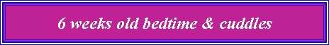 Text Box: 6 weeks old bedtime & cuddles