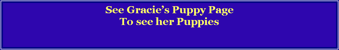 Text Box: See Gracies Puppy PageTo see her Puppies 