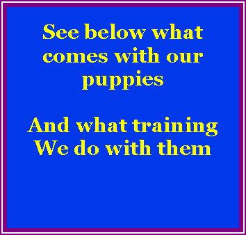 Text Box: See below what comes with our puppies And what trainingWe do with them
