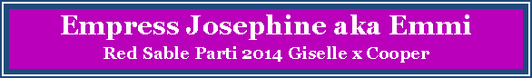 Text Box: Empress Josephine aka EmmiRed Sable Parti 2014 Giselle x Cooper