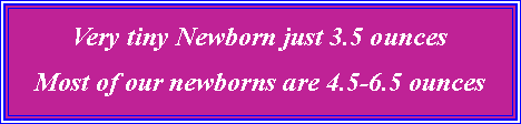 Text Box: Very tiny Newborn just 3.5 ouncesMost of our newborns are 4.5-6.5 ounces